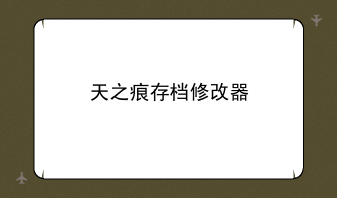天之痕存档修改器