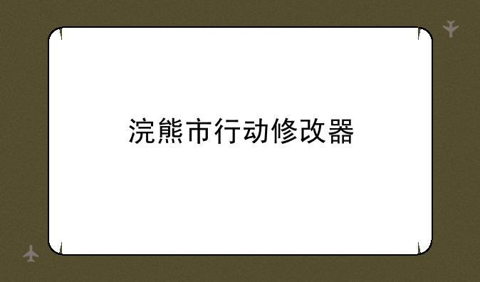 浣熊市行动修改器