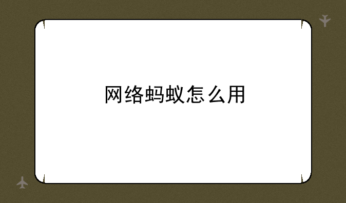 网络蚂蚁怎么用