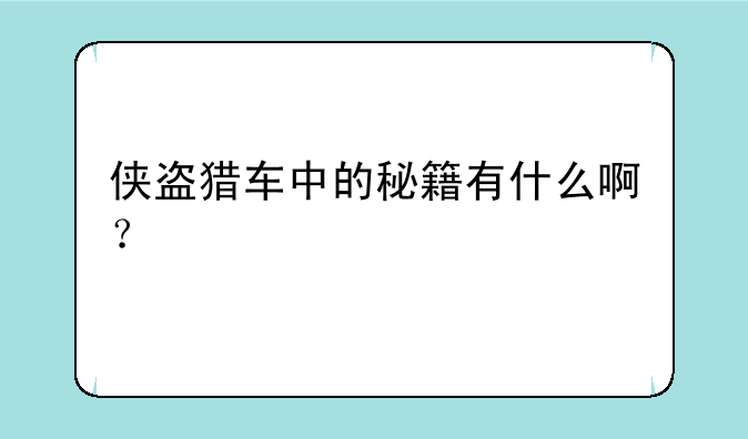 侠盗猎车中的秘籍有什么啊？