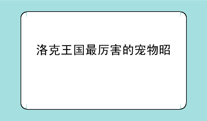 洛克王国最厉害的宠物是什么