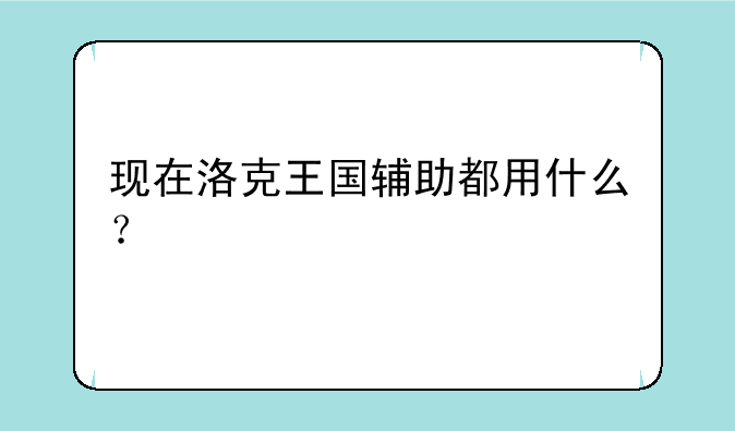 现在洛克王国辅助都用什么？