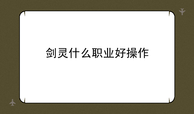 剑灵什么职业好操作