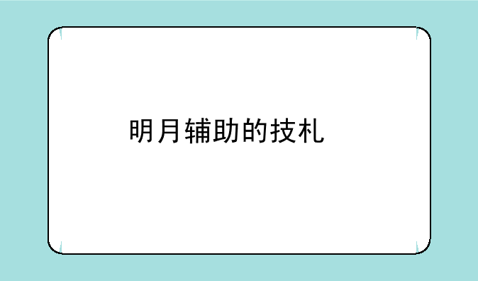 明月辅助的技术特点