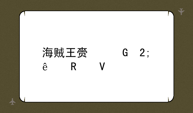 海贼王赏金猎人攻略