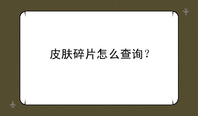 皮肤碎片怎么查询？