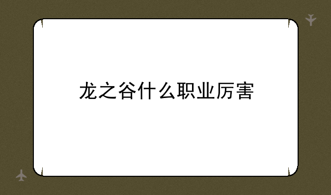 龙之谷什么职业厉害