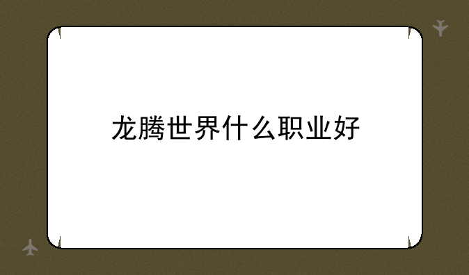 龙腾世界什么职业好