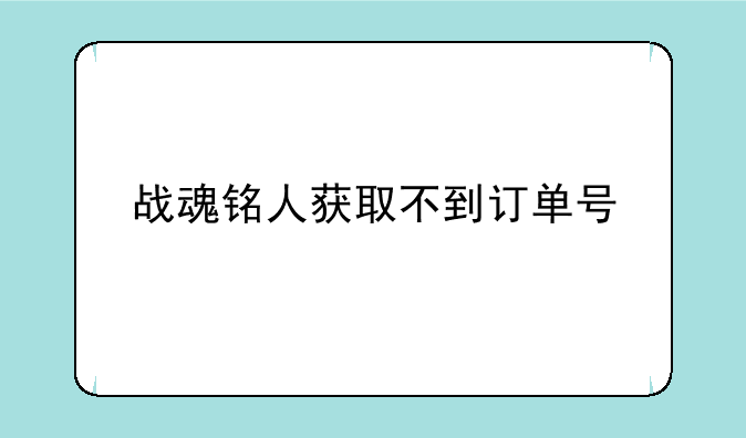 战魂铭人获取不到订单号