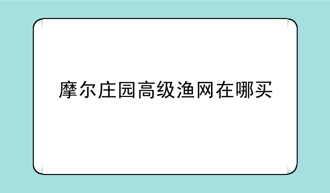摩尔庄园高级渔网在哪买