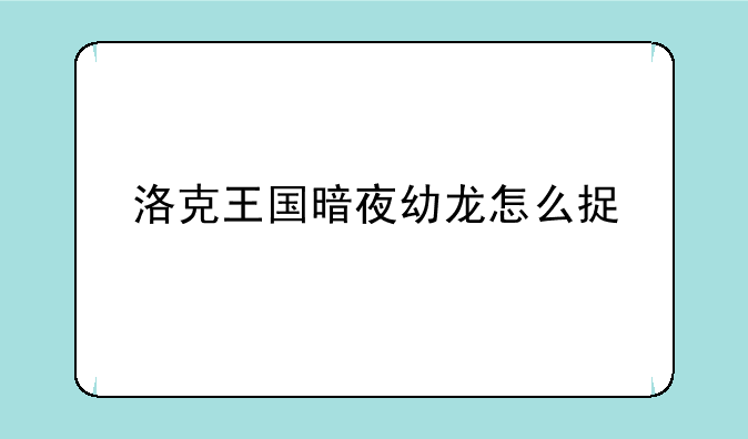 洛克王国暗夜幼龙怎么捉