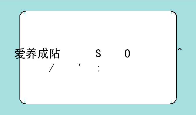 爱养成阿尔结局日程安排