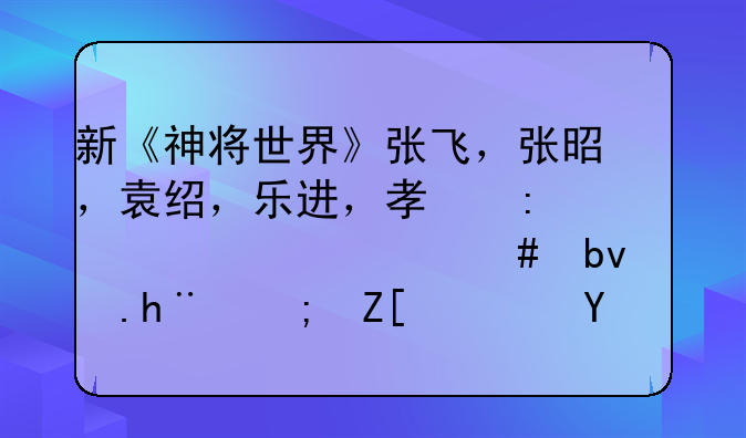 新《神将世界》张飞，张昭，袁绍，乐进，孟获装备什么星魂技能好？求解析。