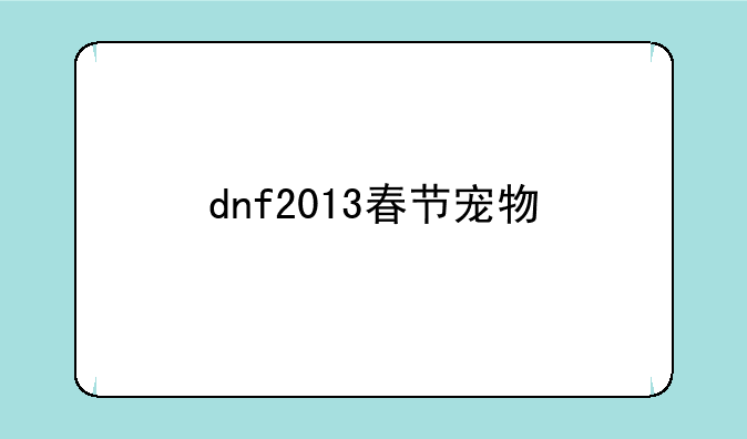 dnf2013春节宠物