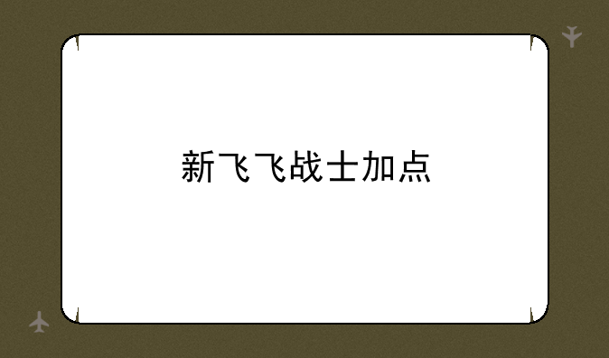 新飞飞战士加点