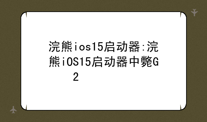 浣熊ios15启动器:浣熊iOS15启动器中文版